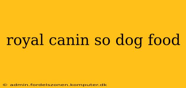 royal canin so dog food