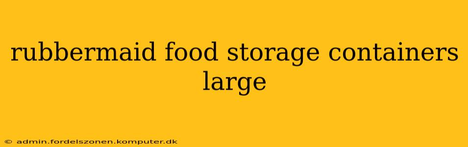 rubbermaid food storage containers large