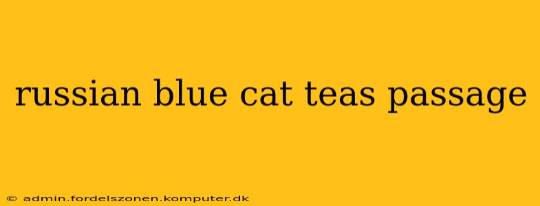 russian blue cat teas passage