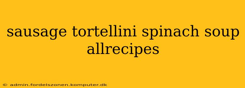 sausage tortellini spinach soup allrecipes