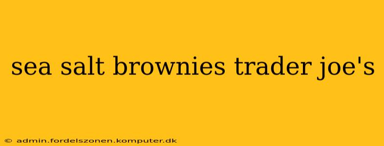 sea salt brownies trader joe's