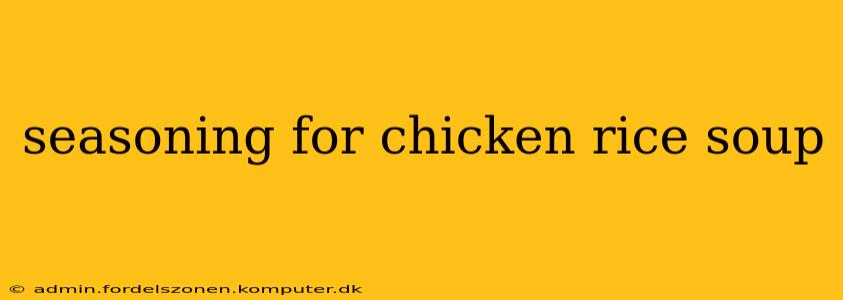 seasoning for chicken rice soup