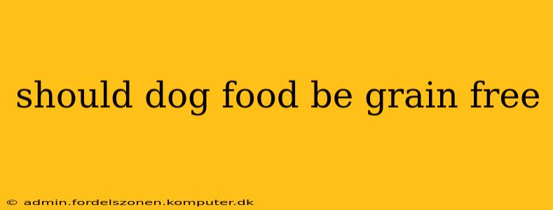 should dog food be grain free