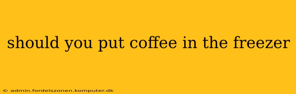 should you put coffee in the freezer