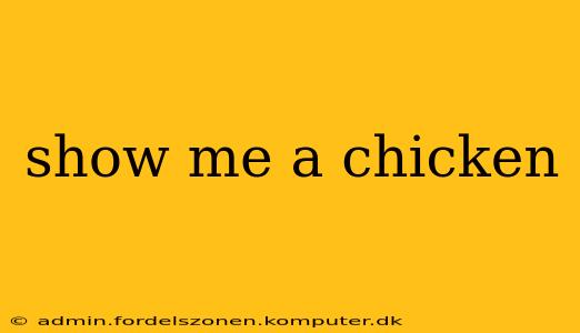 show me a chicken