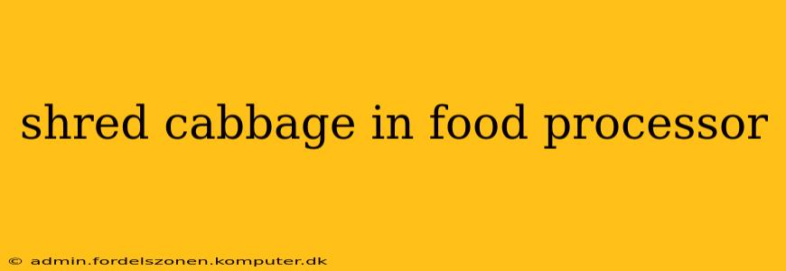 shred cabbage in food processor