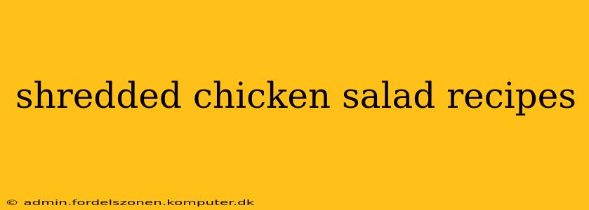 shredded chicken salad recipes