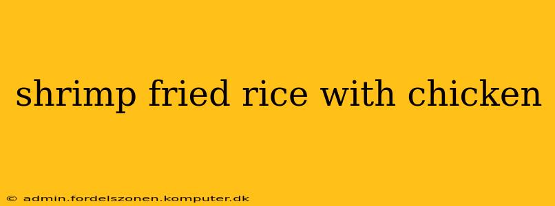 shrimp fried rice with chicken