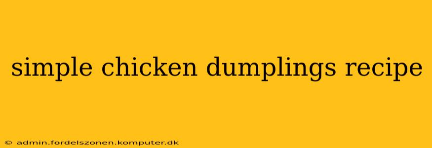 simple chicken dumplings recipe