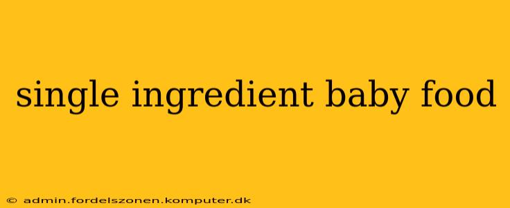 single ingredient baby food