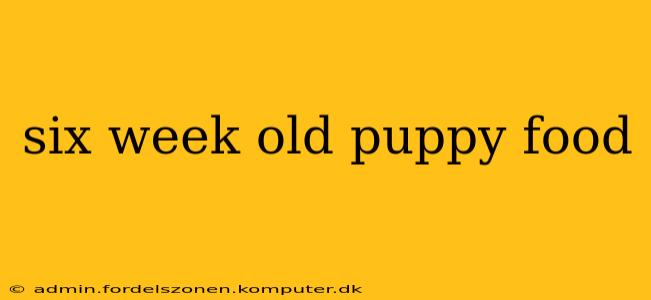 six week old puppy food