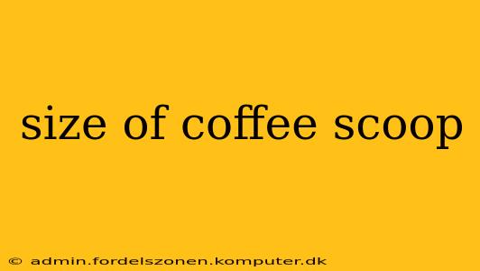 size of coffee scoop