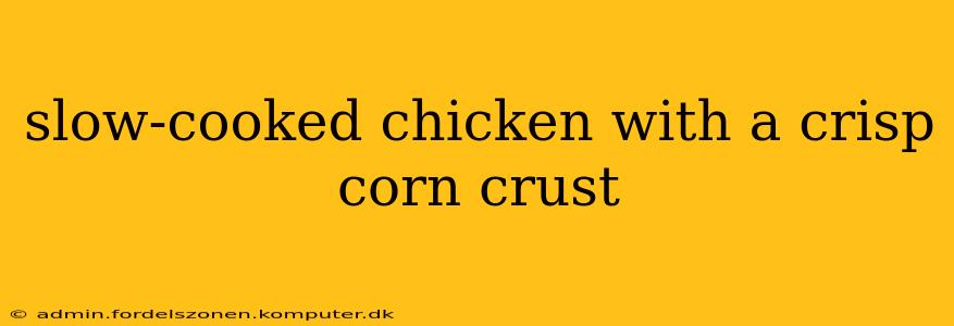 slow-cooked chicken with a crisp corn crust
