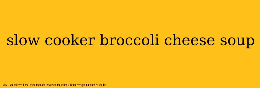 slow cooker broccoli cheese soup
