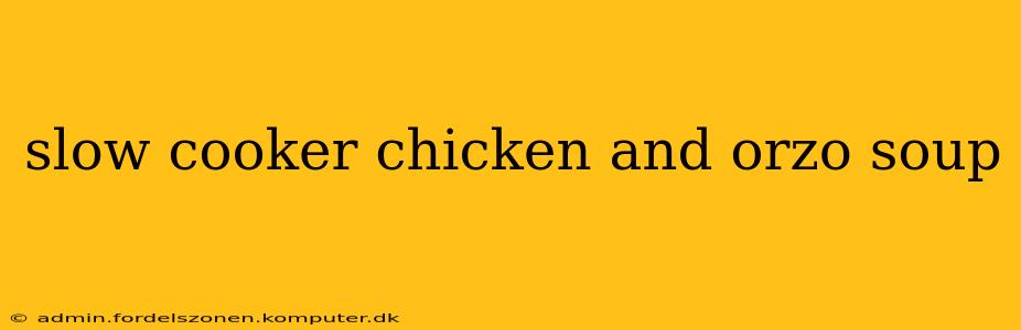slow cooker chicken and orzo soup