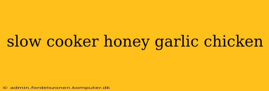 slow cooker honey garlic chicken