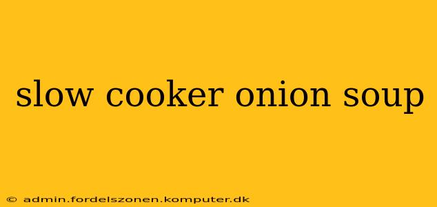 slow cooker onion soup