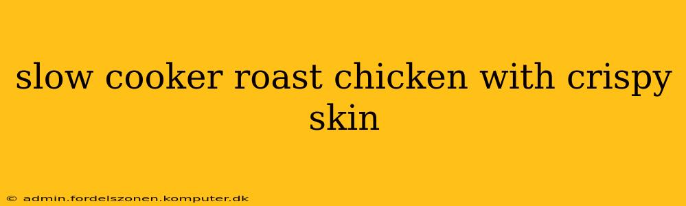slow cooker roast chicken with crispy skin
