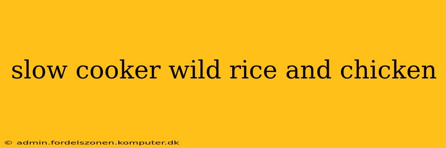 slow cooker wild rice and chicken
