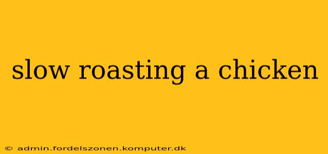 slow roasting a chicken