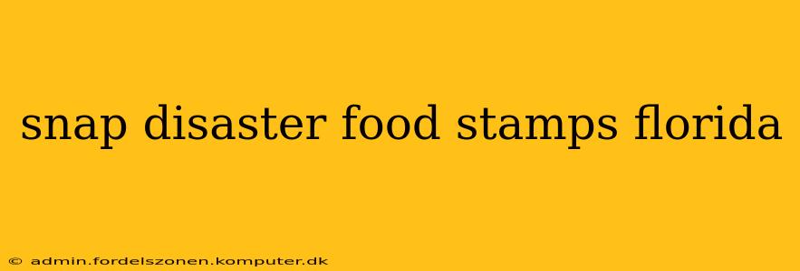 snap disaster food stamps florida