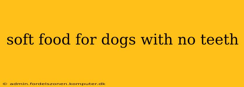 soft food for dogs with no teeth
