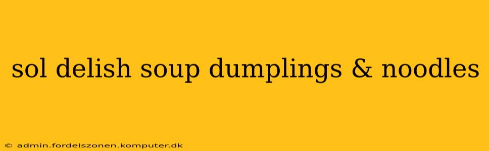 sol delish soup dumplings & noodles