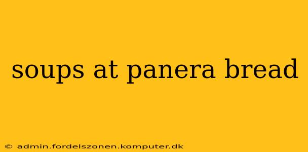 soups at panera bread
