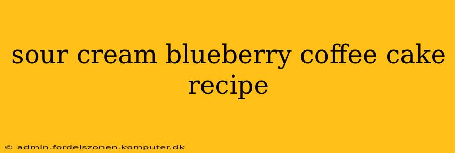 sour cream blueberry coffee cake recipe