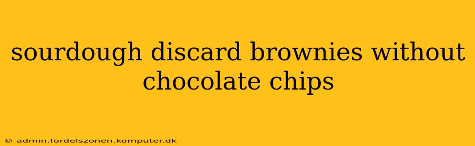 sourdough discard brownies without chocolate chips