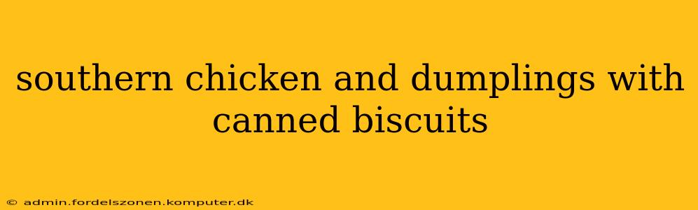 southern chicken and dumplings with canned biscuits