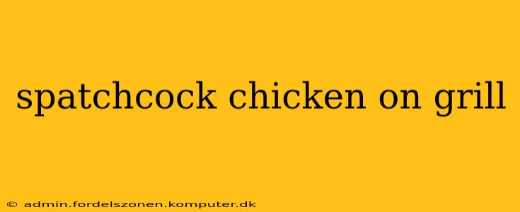 spatchcock chicken on grill