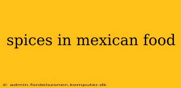 spices in mexican food