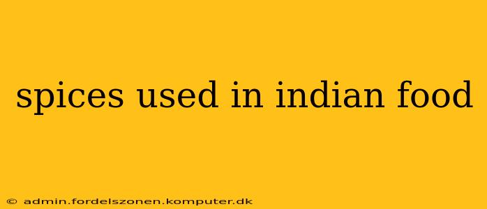 spices used in indian food