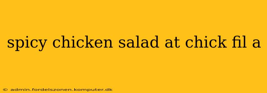 spicy chicken salad at chick fil a