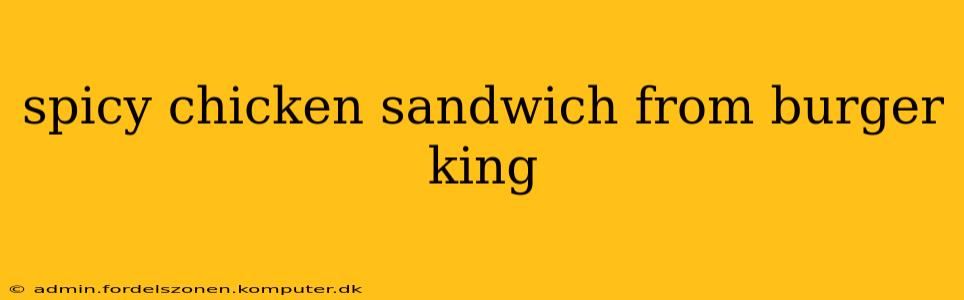 spicy chicken sandwich from burger king