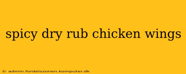 spicy dry rub chicken wings