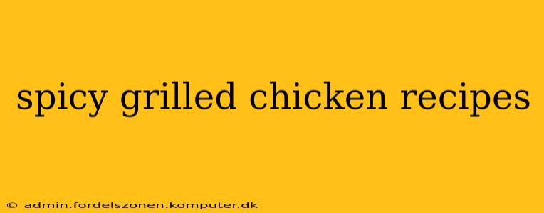 spicy grilled chicken recipes