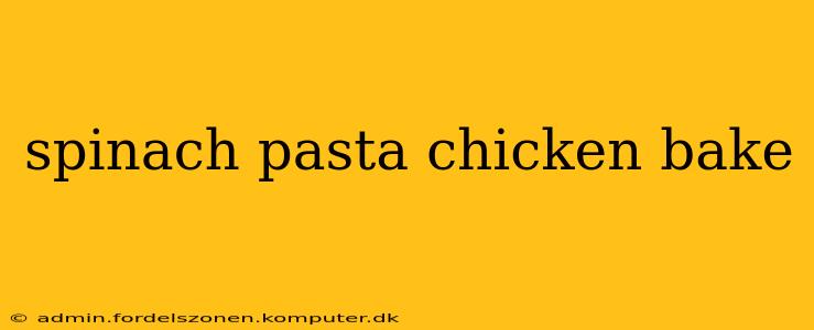 spinach pasta chicken bake