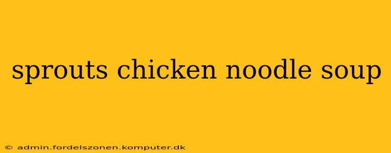 sprouts chicken noodle soup