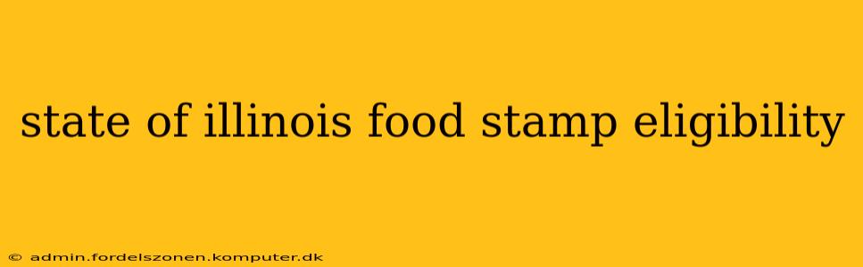 state of illinois food stamp eligibility