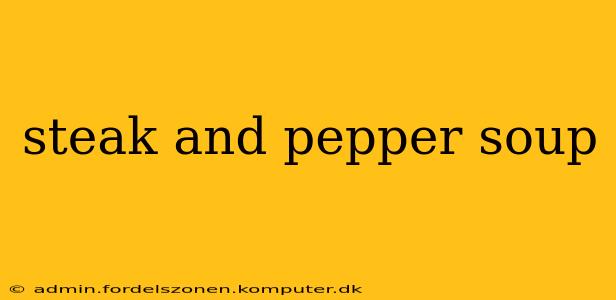 steak and pepper soup