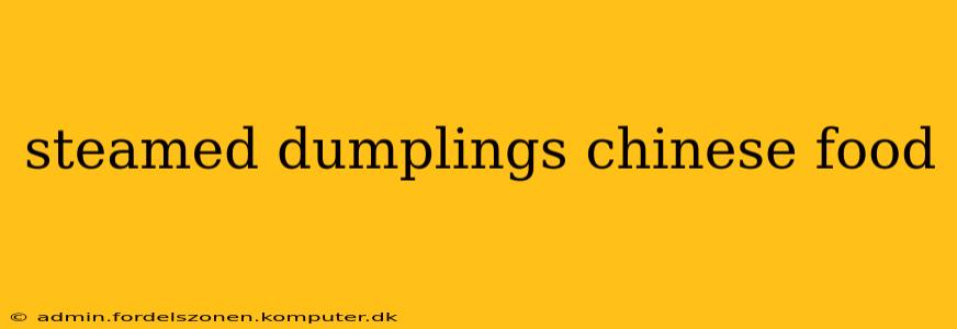 steamed dumplings chinese food