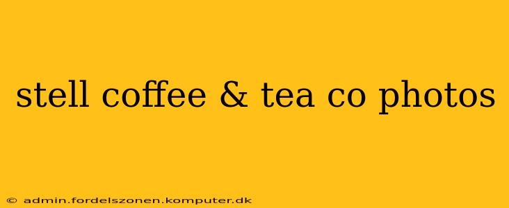 stell coffee & tea co photos