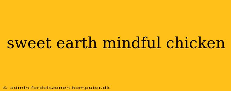 sweet earth mindful chicken
