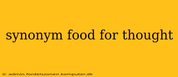 synonym food for thought