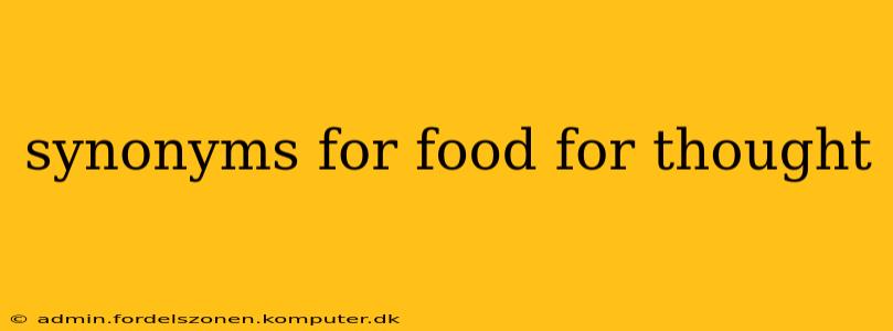synonyms for food for thought