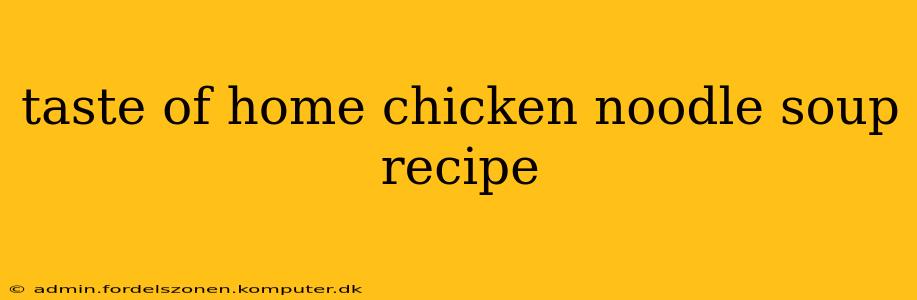 taste of home chicken noodle soup recipe