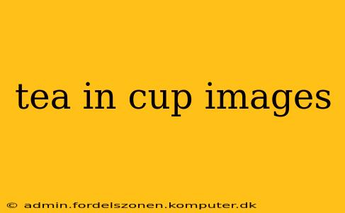 tea in cup images