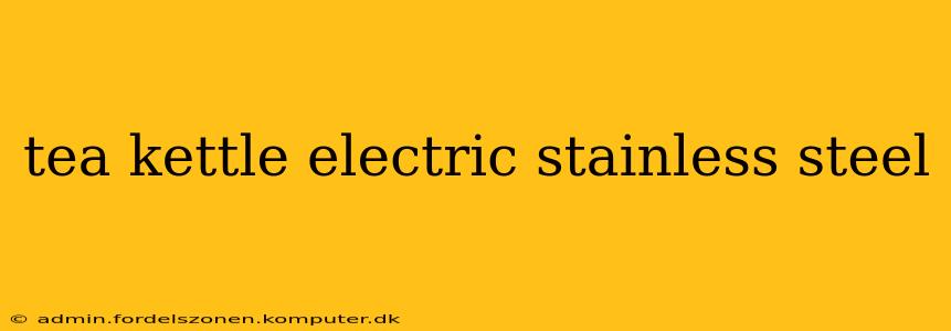 tea kettle electric stainless steel